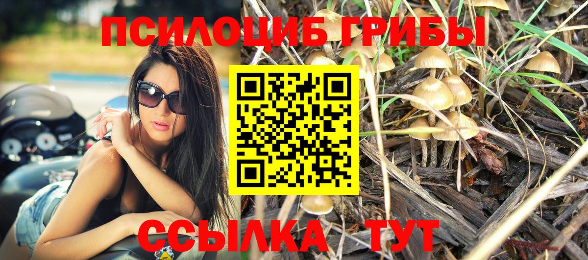 Галлюциногенные грибы мицелий  Вход с VPN  Галлюциногенные грибы Cubensis  Семилуки 